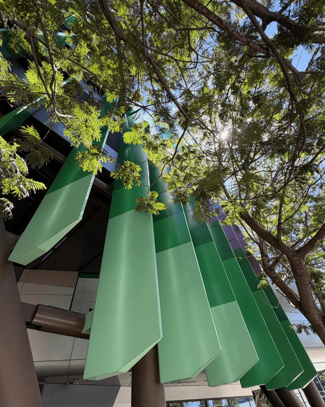 Alt: ALPOLIC™/fr green façade fins on Queensland Children’s Hospital with tree canopy and filtered sunlight